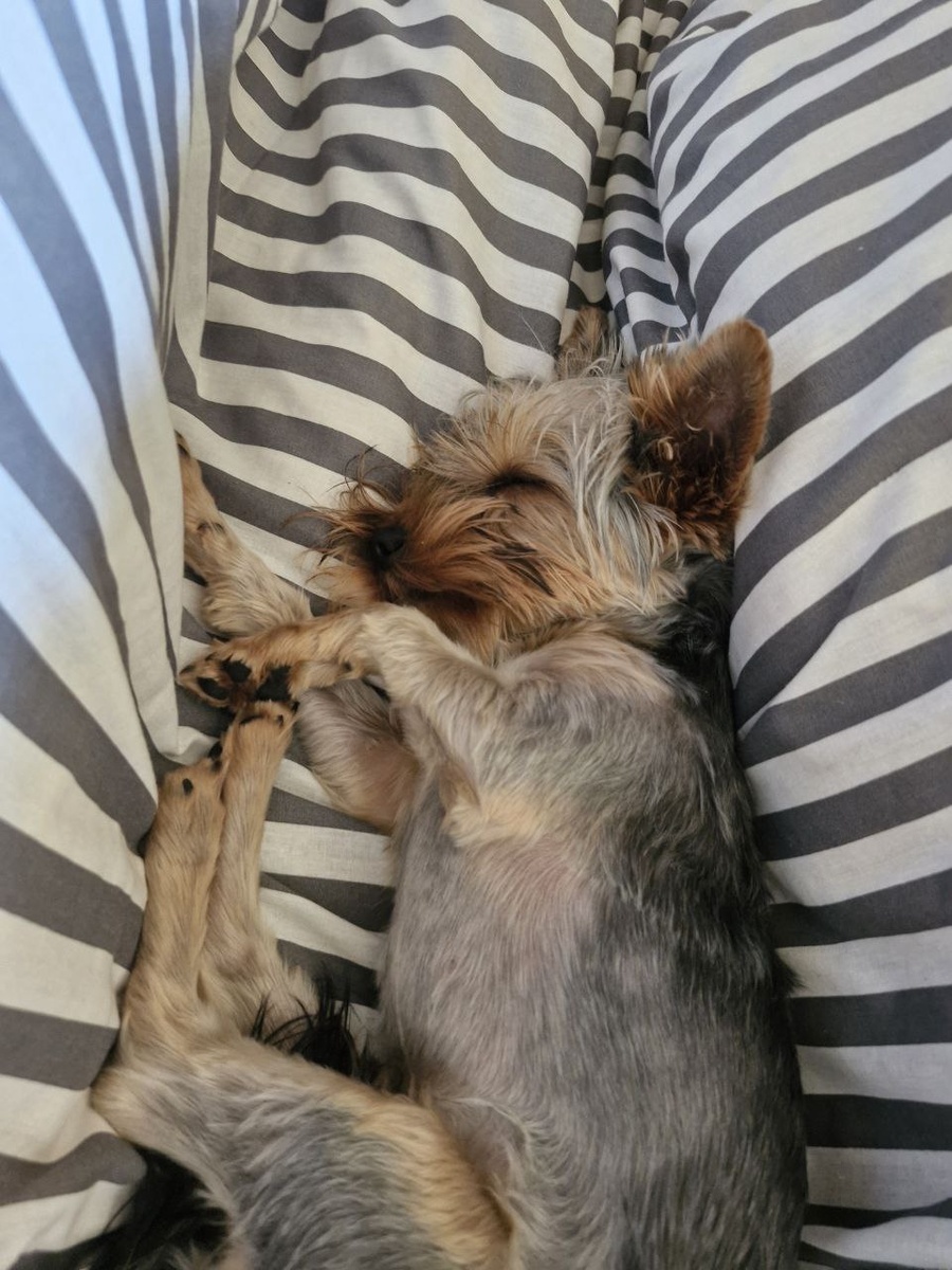 Единственный ребенок, который у меня пока есть