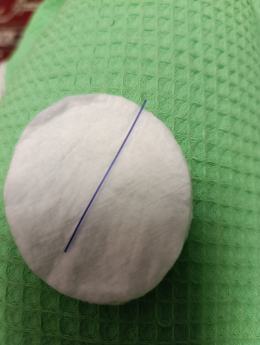 Все фото автора. 