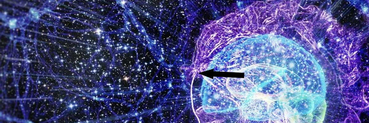    Квантовое бессмертие существует и вот как перенести сознание в другую реальность уже сегодня