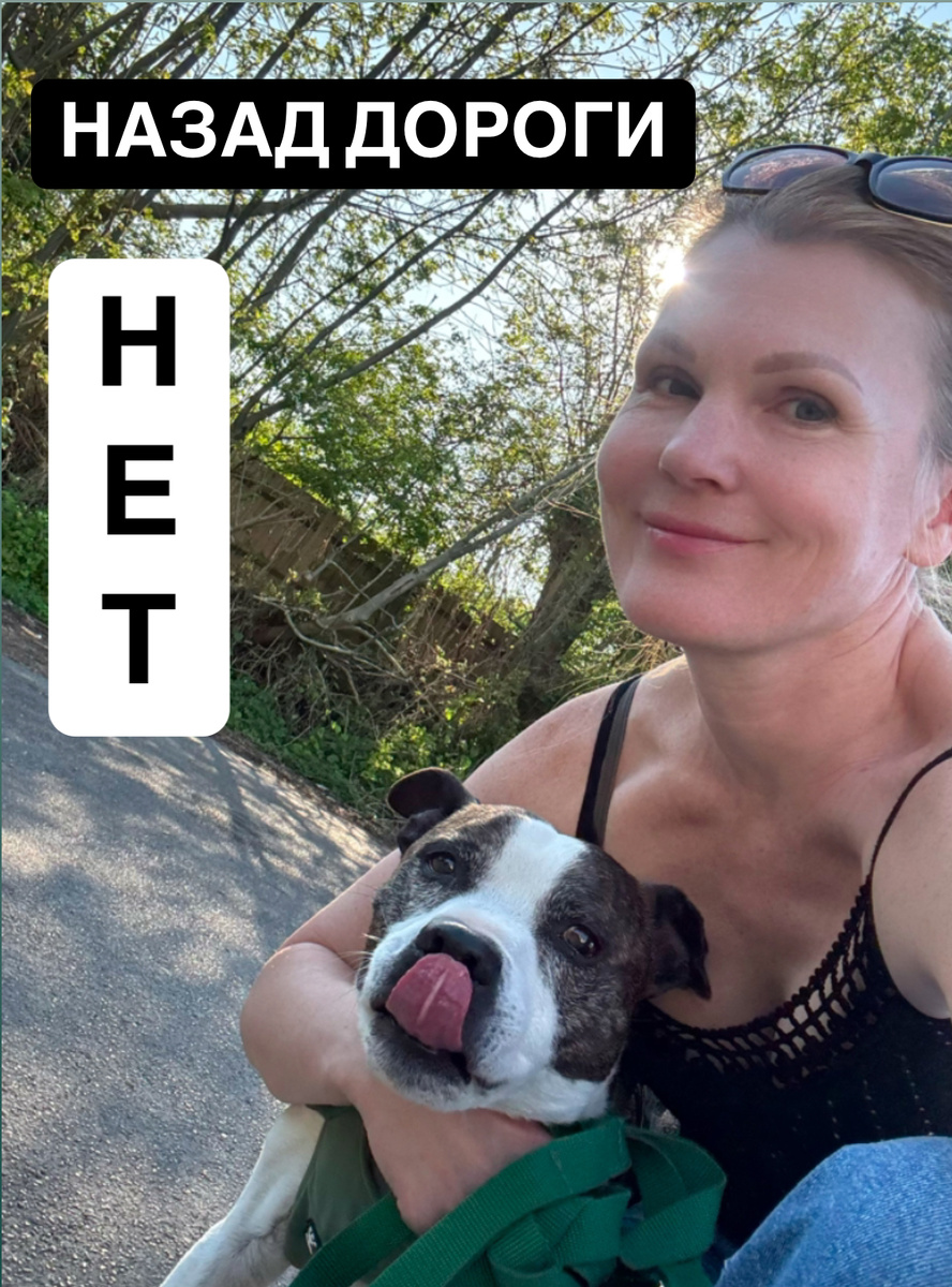 Я с собакой подруги. Алтай - стаффордширский терьер