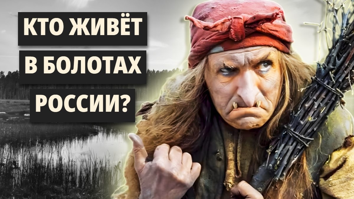 5 интересных фактов о болотах России: загадочные, опасные и безумно интересные...
