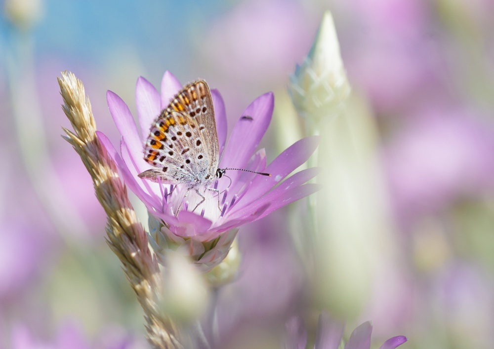 Фото из личного архива