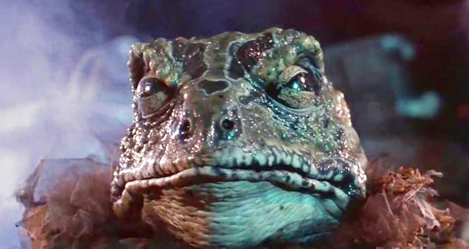 Кадр из фильма «Hell Comes to Frogtown». Режиссеры: Дональд Дж. Джексон, Р.Дж. Кизер. Производство: New World Pictures