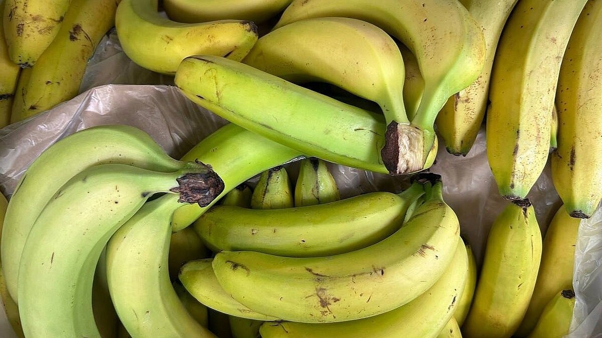    Фото: телеканал «Краснодар»