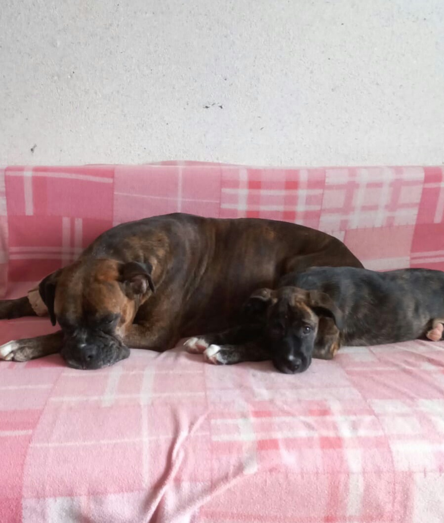 Шанти и Марта, фото из личного архива