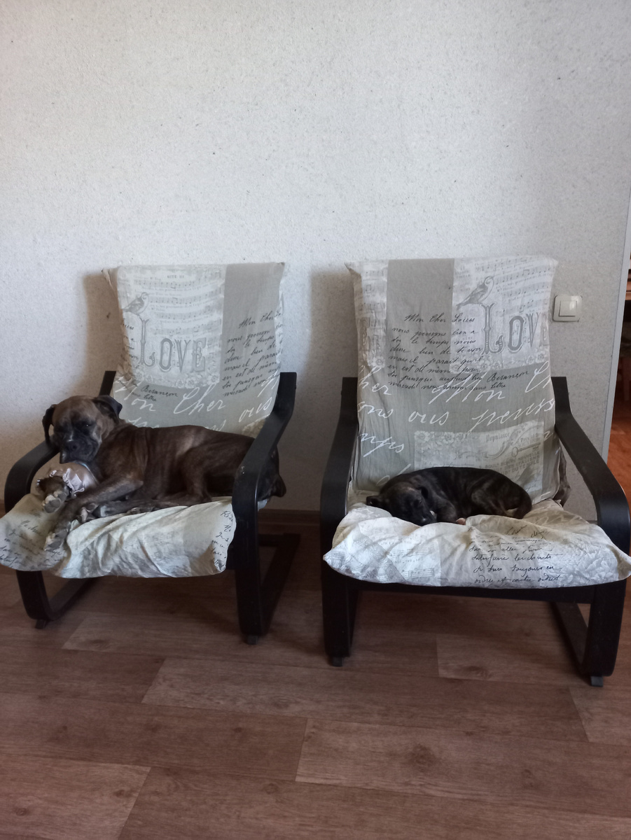 Шанти и Марта, в тех самых креслах. Фото из личного архива