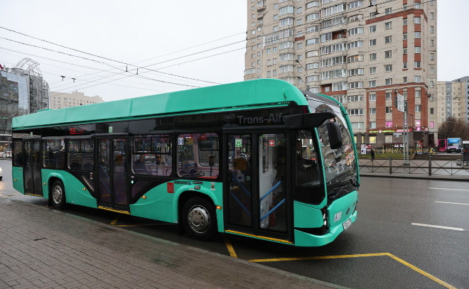    © Дмитрий Фуфаев / «Петербургский дневник»