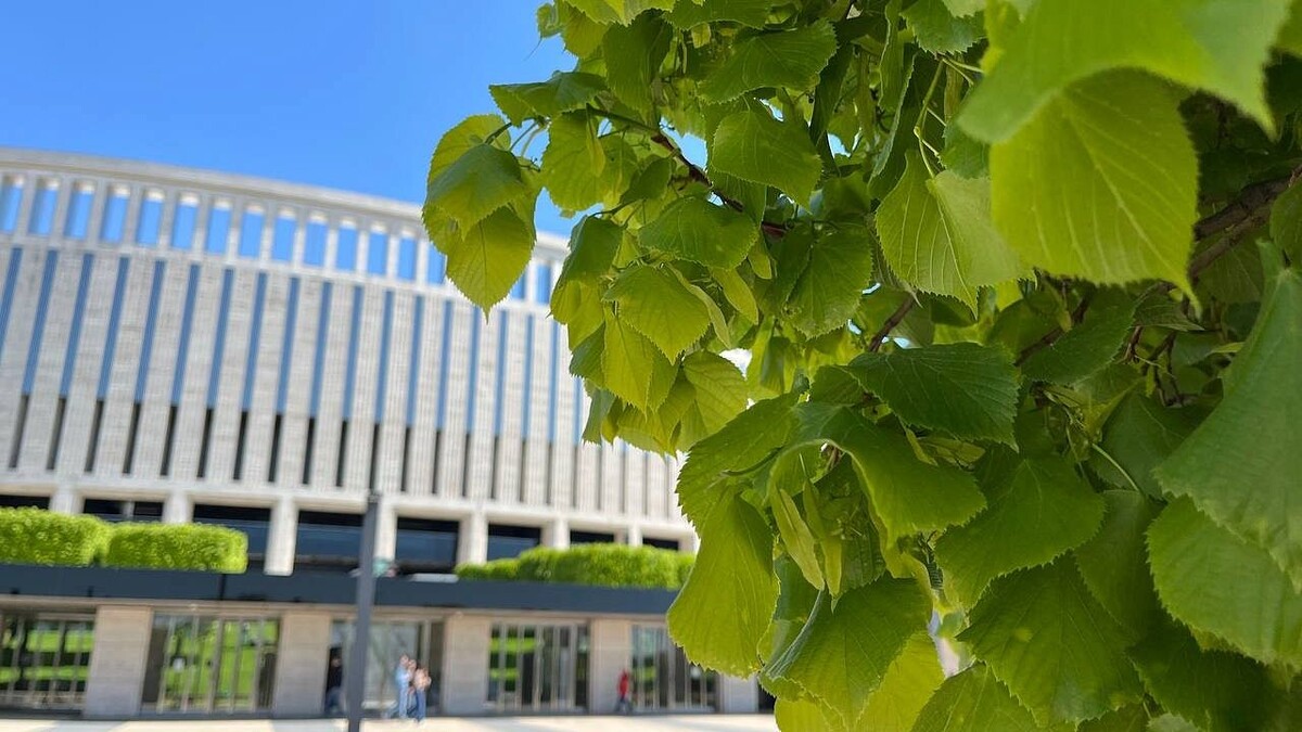    Фото: телеканал «Краснодар»