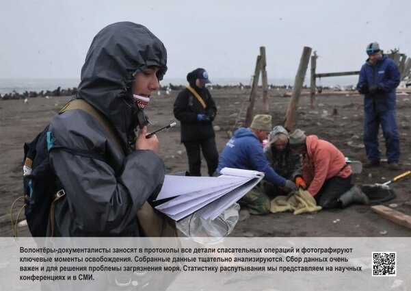    Фото: Кроноцкий заповедник