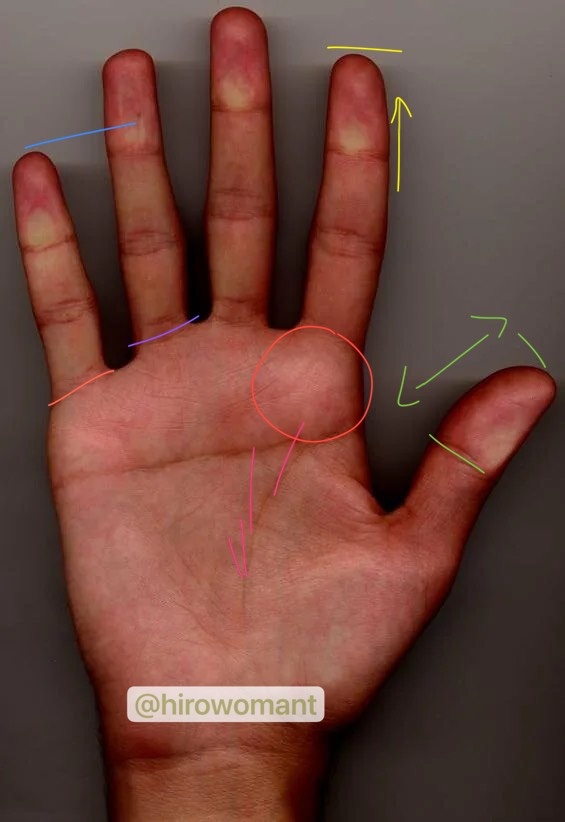 Признаки честолюбивого кверента