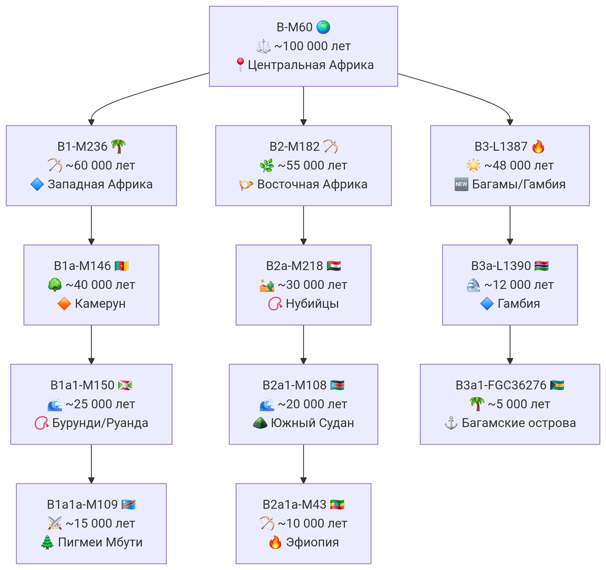Древо гаплогруппы B