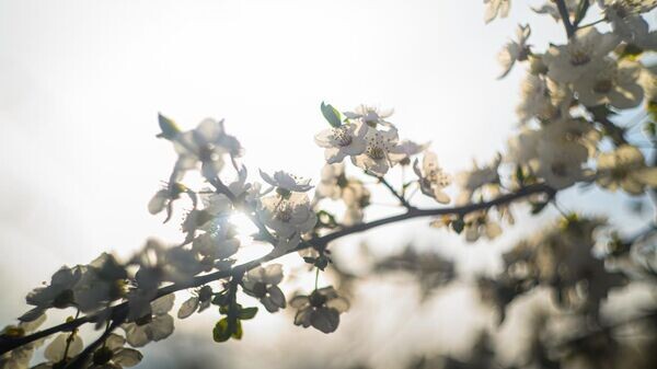    © Telegram-канал губернатора Херсонской области Владимира Сальдо