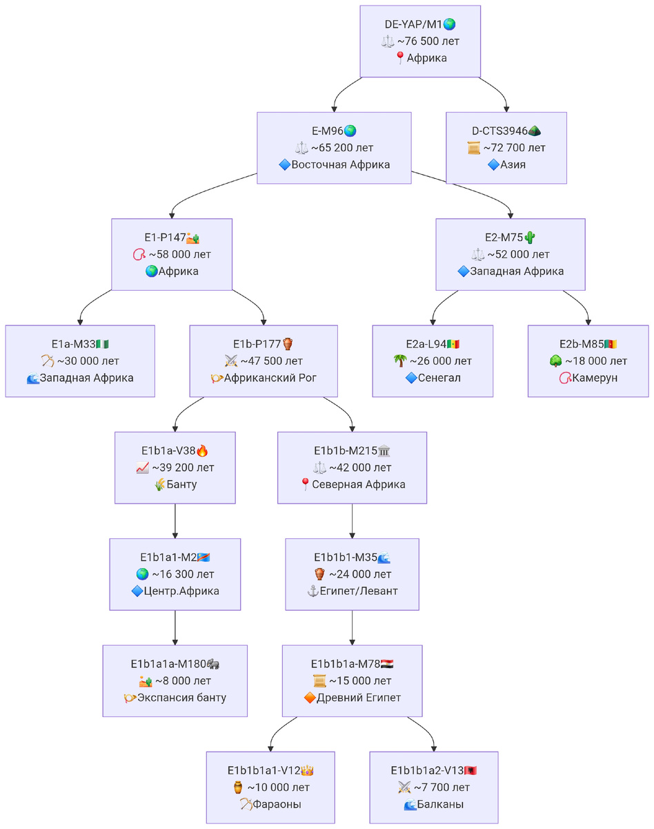 Древо гаплогруппы D