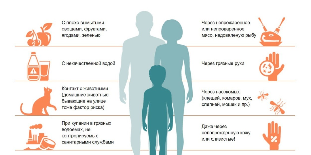 Скажем "нет" паразитам: как ЛЕГКО избавиться от глистов – эффективные методы и профилактика