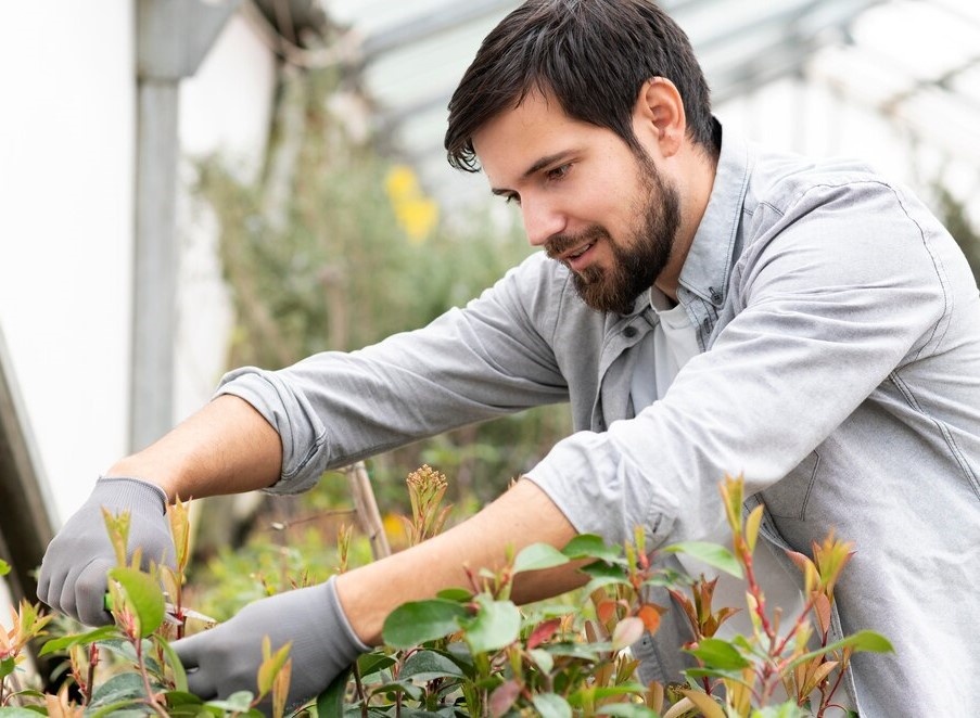    Фото: ru.freepik.com