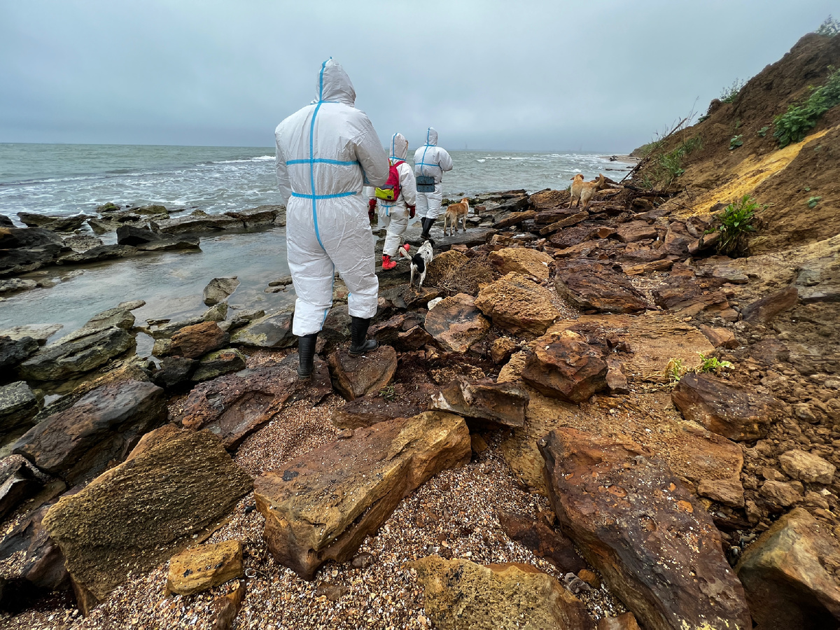 Апрель 2025, все фото - автора 