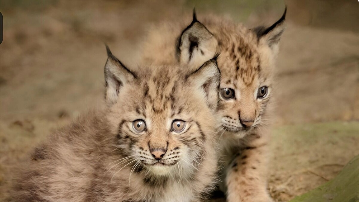     Источник: freepik.com