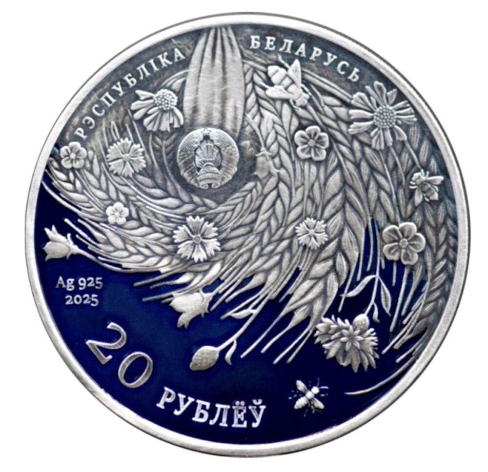 фото из сети Интернет