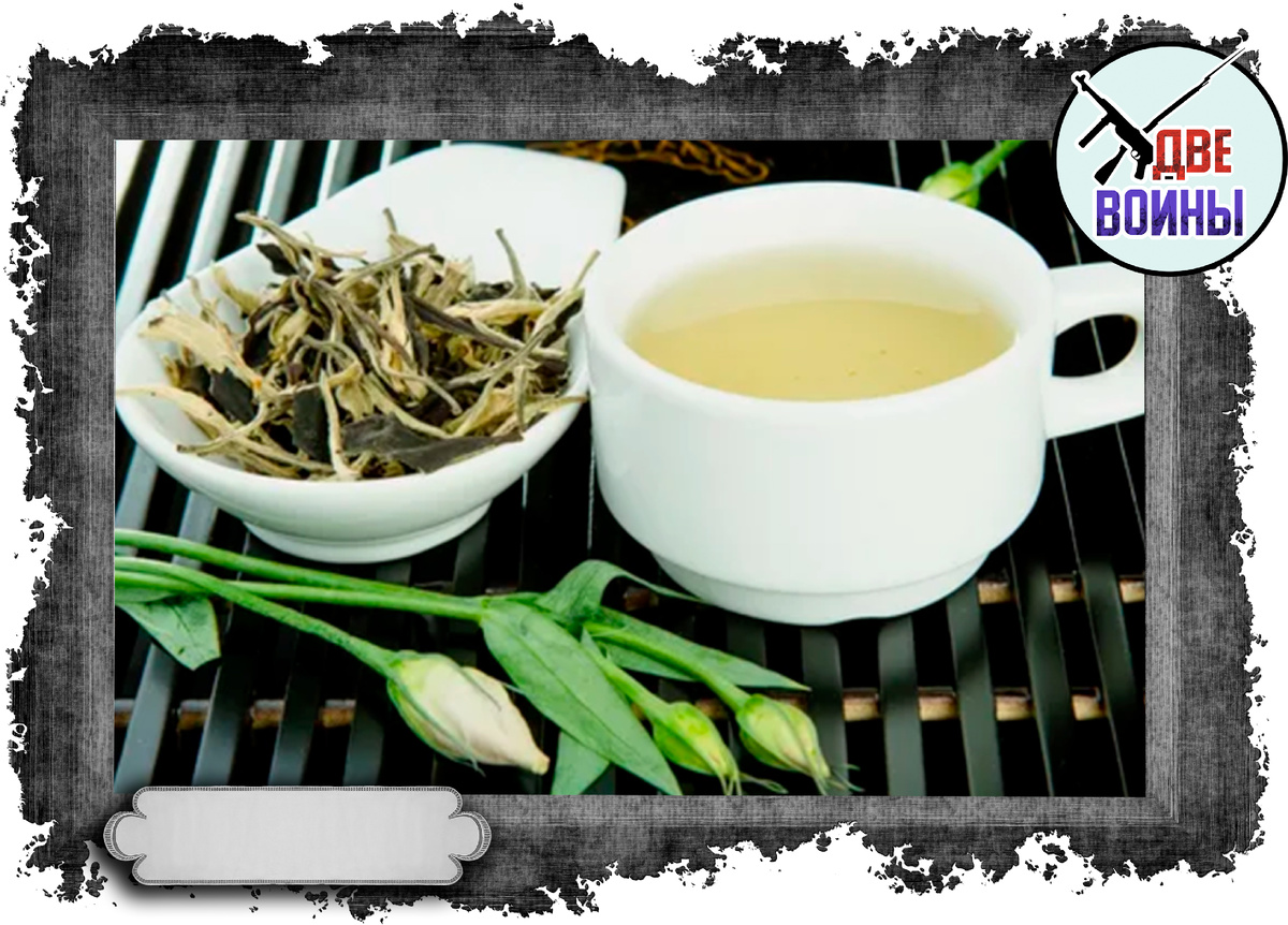 Белый чай. Фото в свободном доступе.
