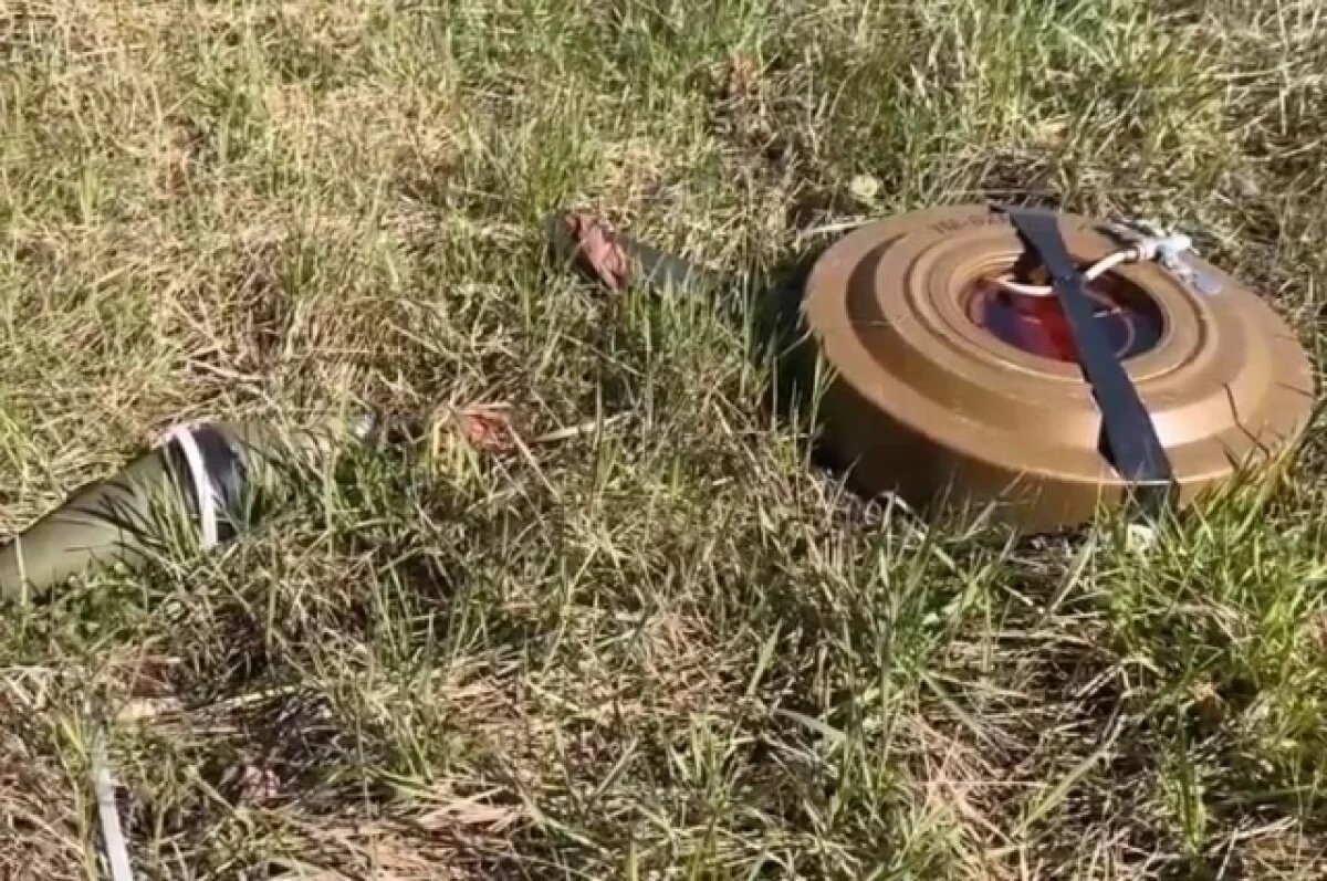    «Работы тут много».