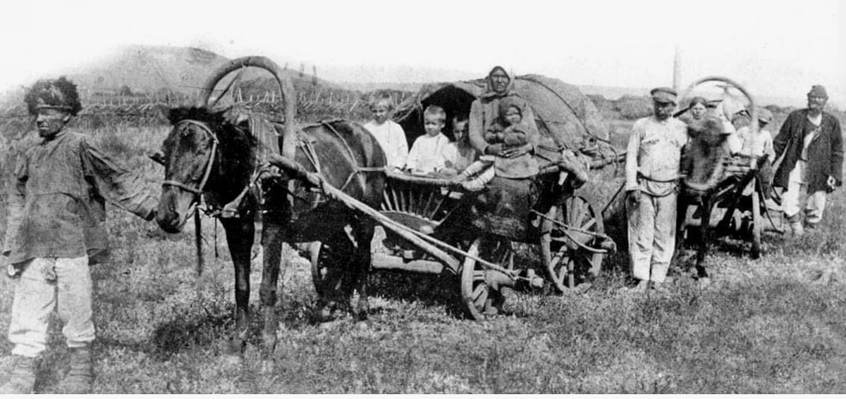  Мои предки прибыли на Дальний Восток пароходами через океан из Украины