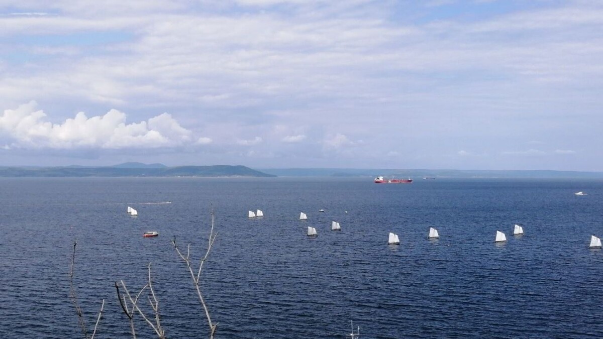     Источник: vostokmedia.com