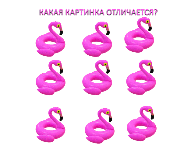 Какая картинка отличается 