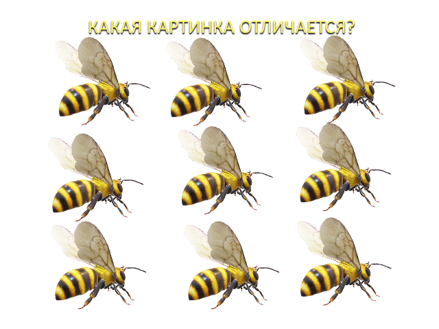 Какая картинка отличается?