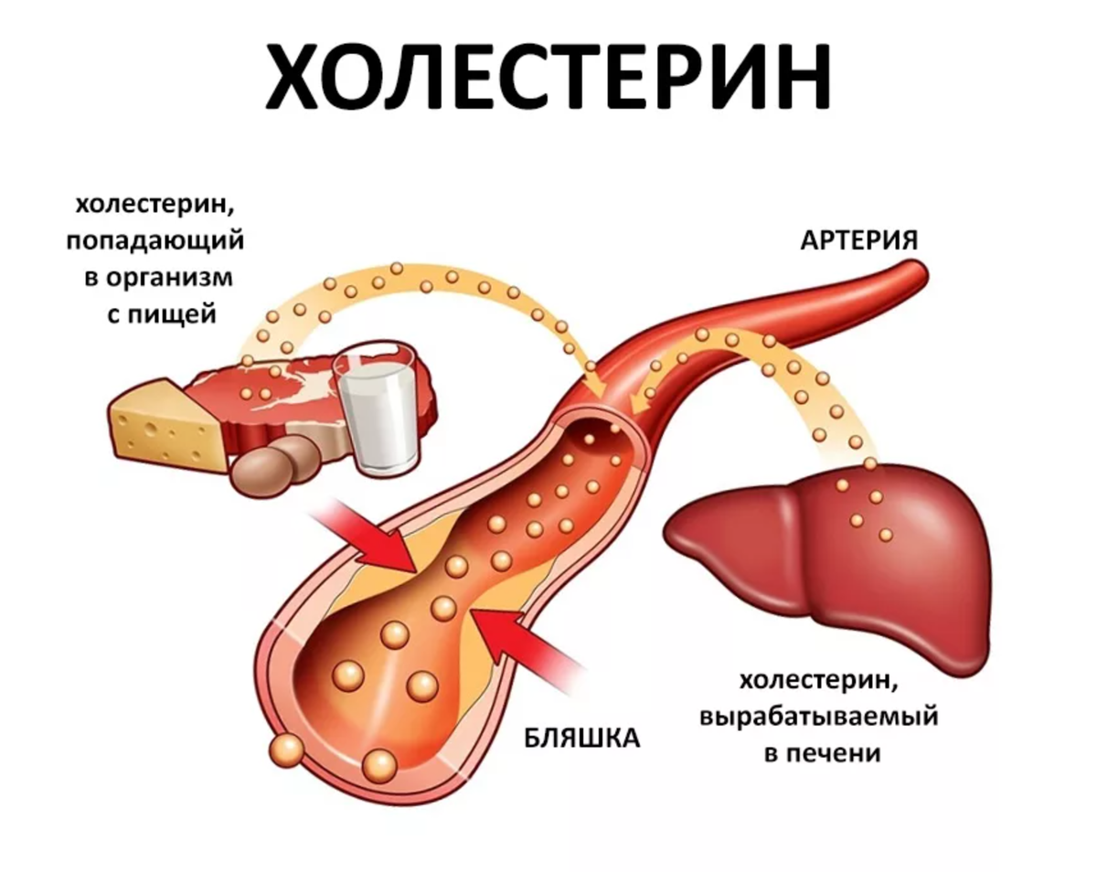 Холестерин после 40: что реально нужно знать, чтобы сохранить здоровье сердца
