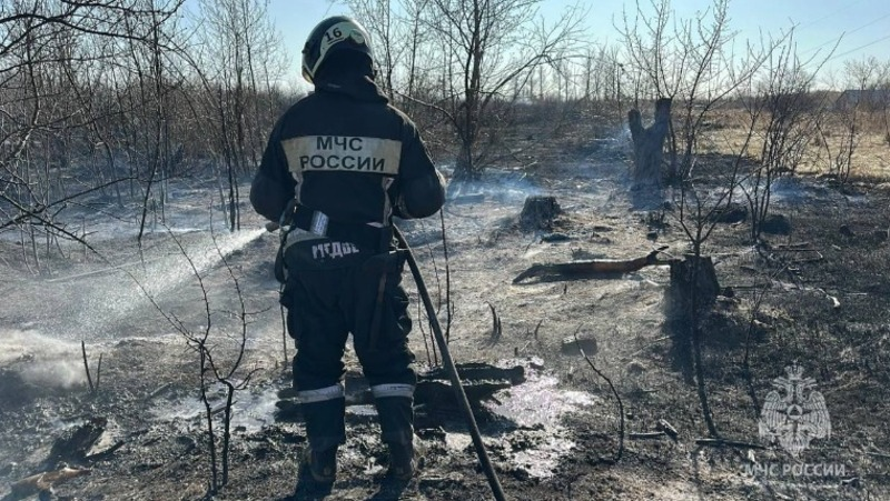 Фото: Telegram-канал МЧС России