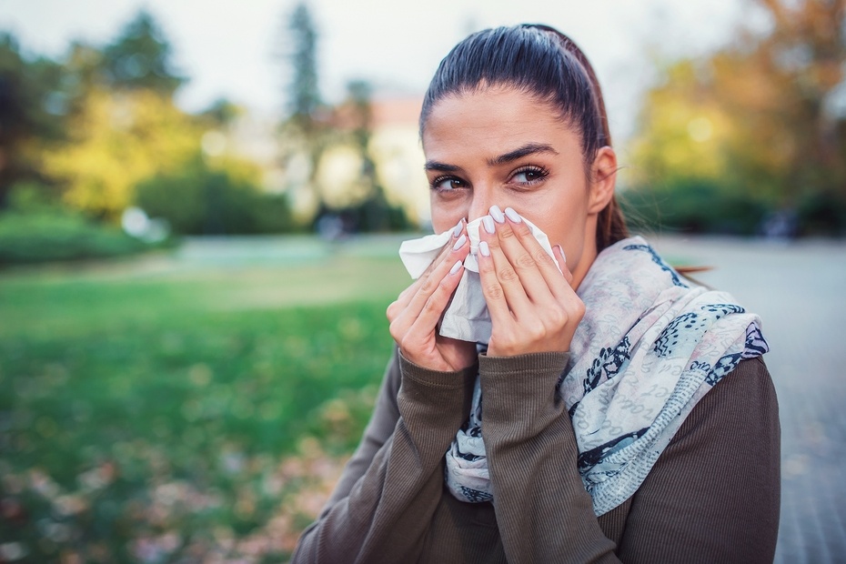    Shutterstock/FOTODOM