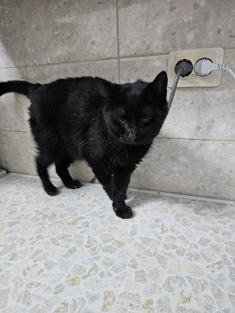 Фото автора. Русик.