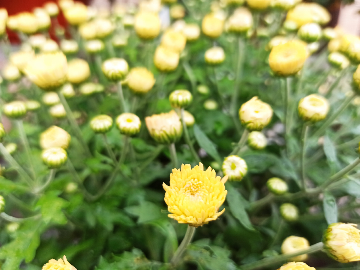 Фото из БСИ ДВО РАН