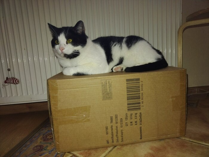 Вот таким красавцем Федя был до болезни