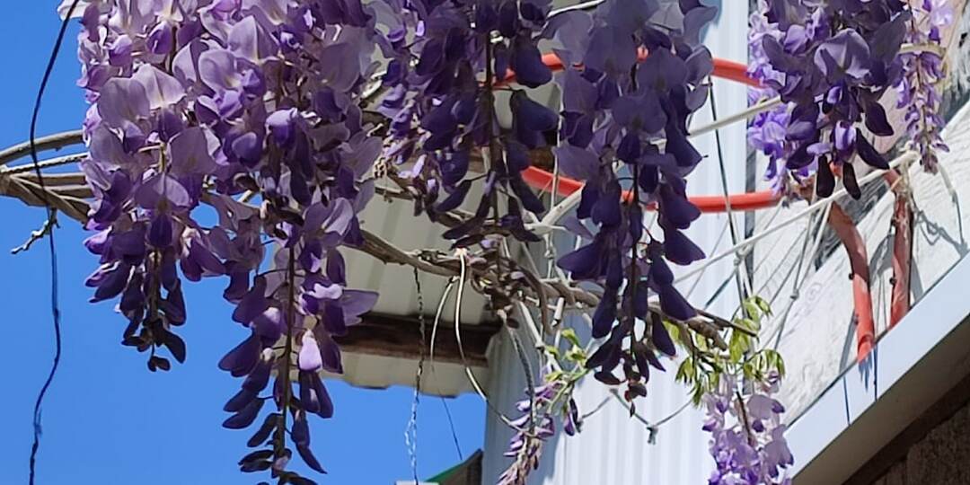 Вернуться сюда или нет?