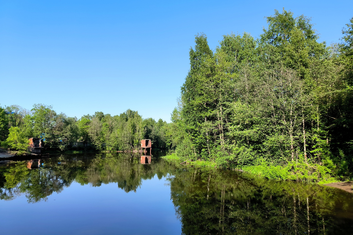 фото: Maksim Konstantinov/Global Look Press