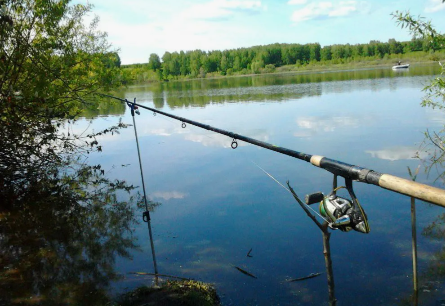 Фидерное удилище. Источник фото prival-rm.ru