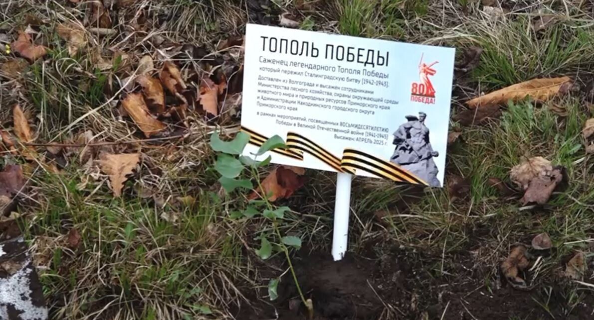     Источник: @nhkadm