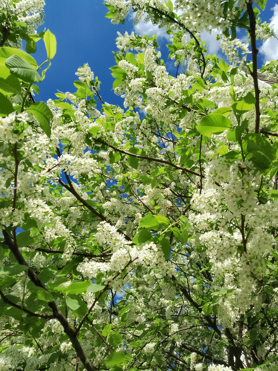 Природа прекрасна. Фото автора