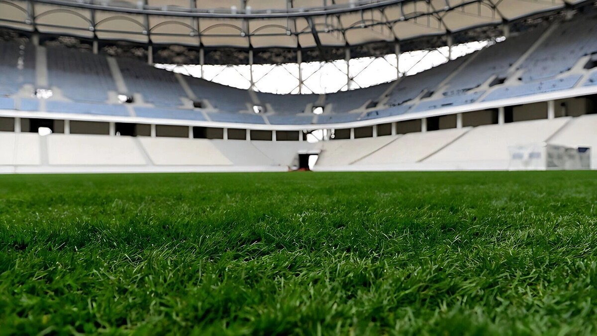     Источник: 1MI