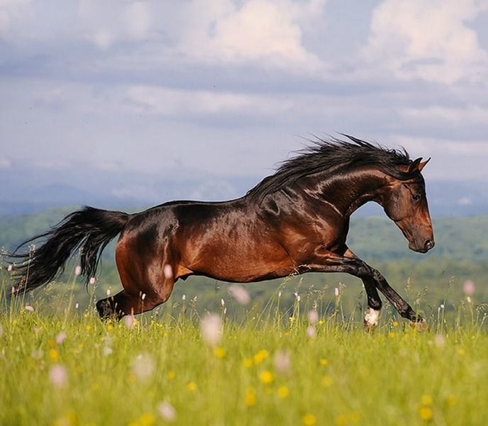 фото: tr.pinterest.com