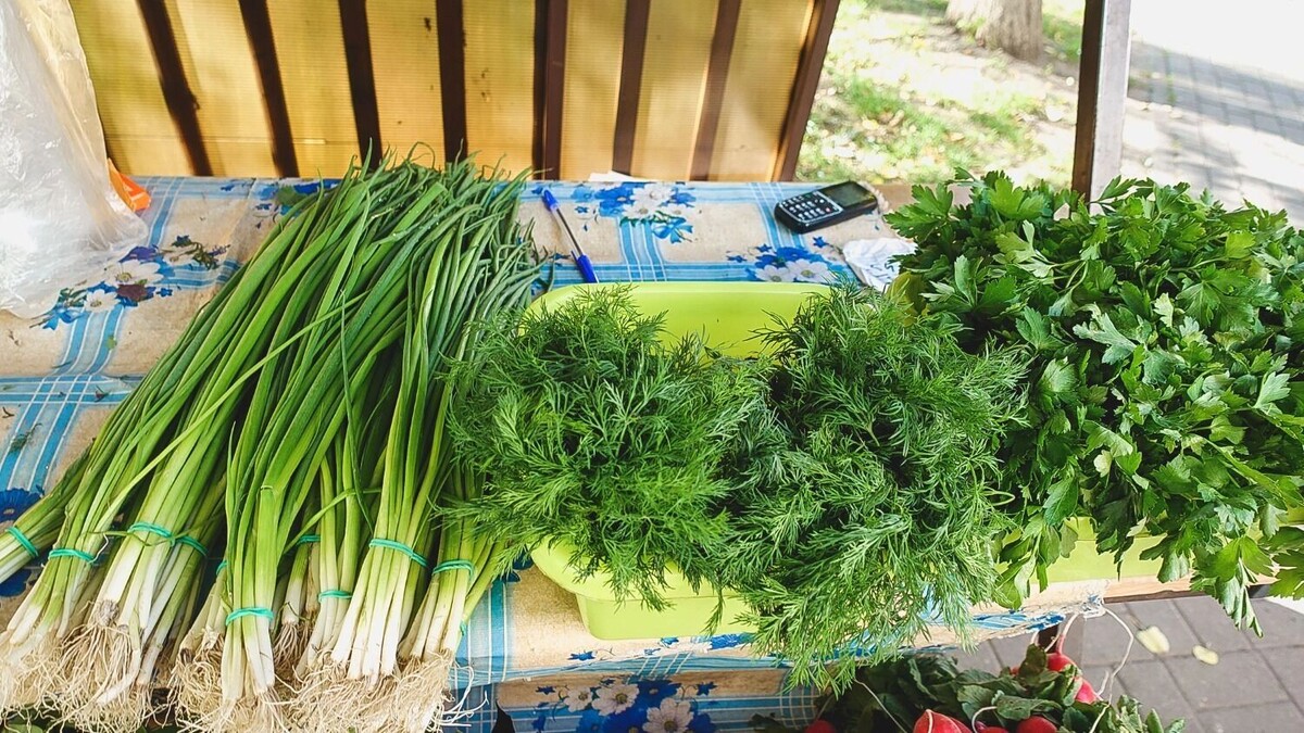     Источник: 1MI