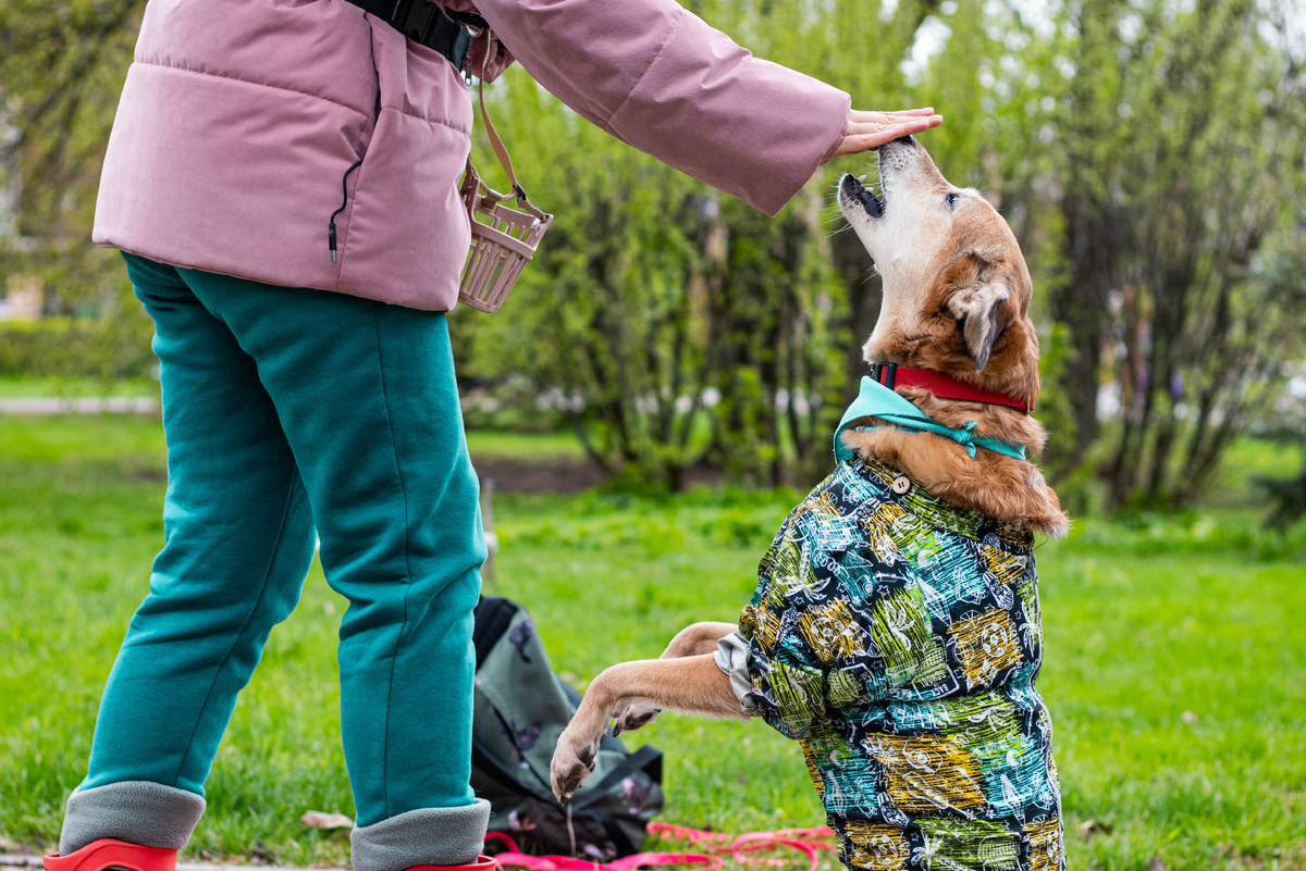 Фото: «Верность»
