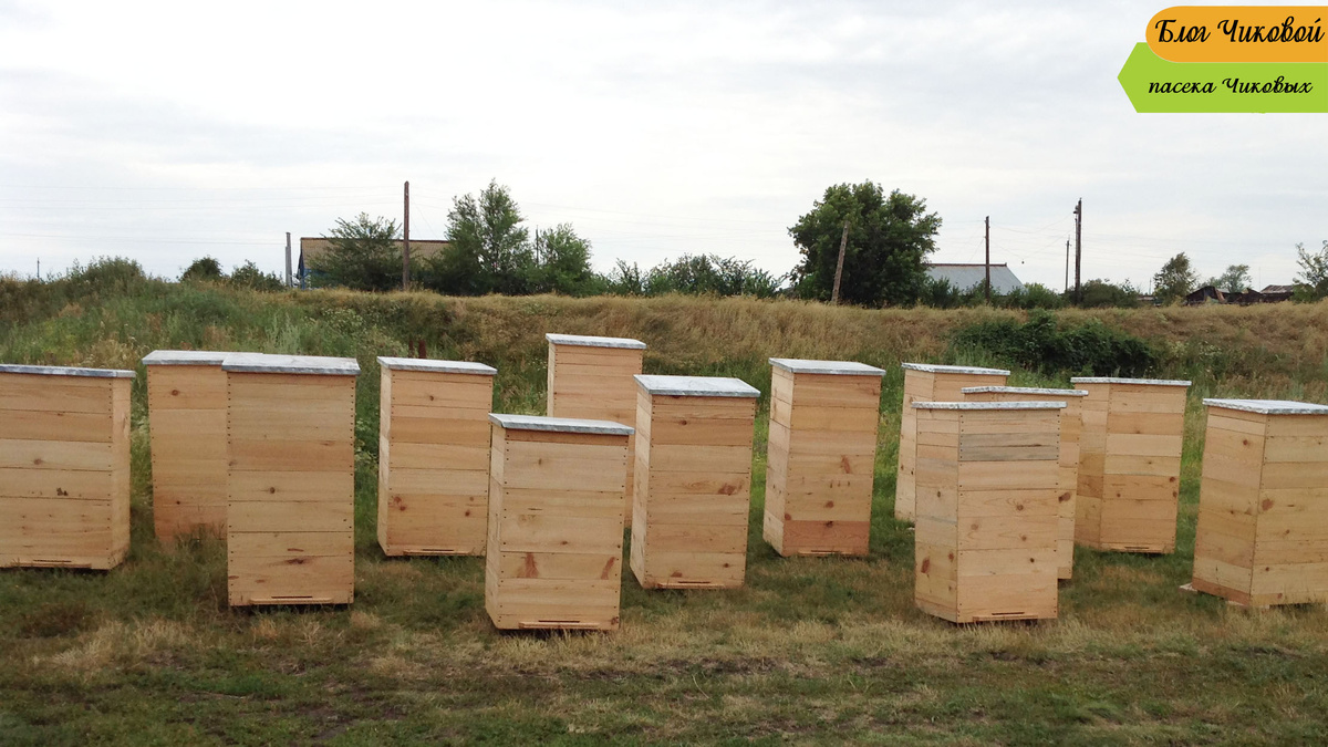  фото для примера / фото 2015 года