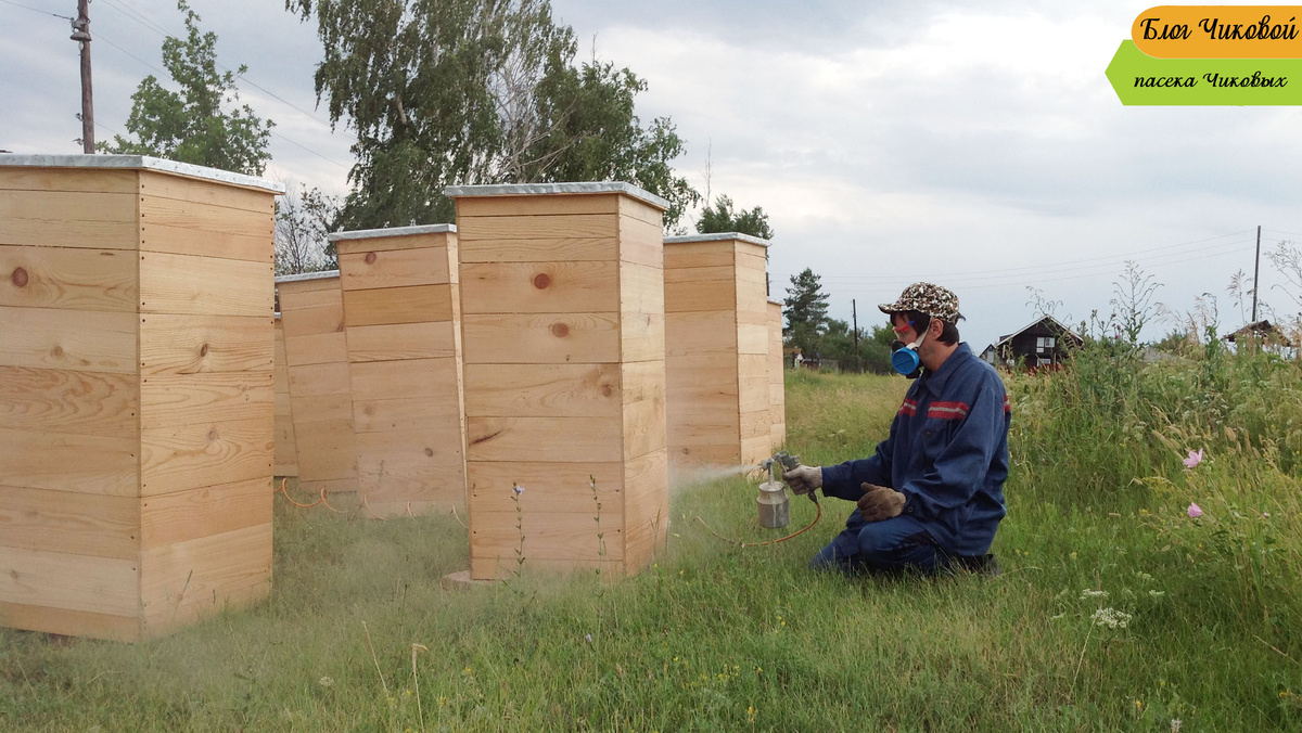 фото просто так....