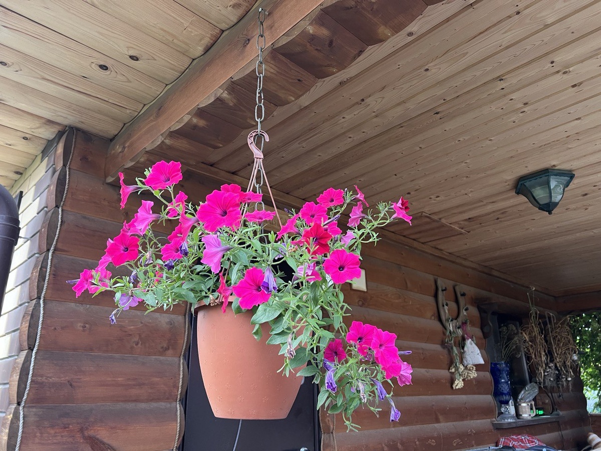 Фото автора канала Дом с кипарисами