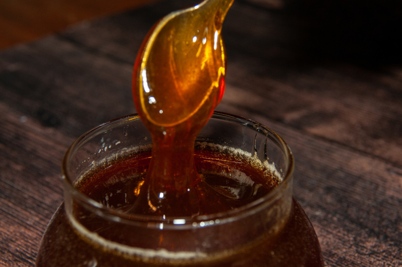    Фото: Svetlana Vozmilova/Global Look Press