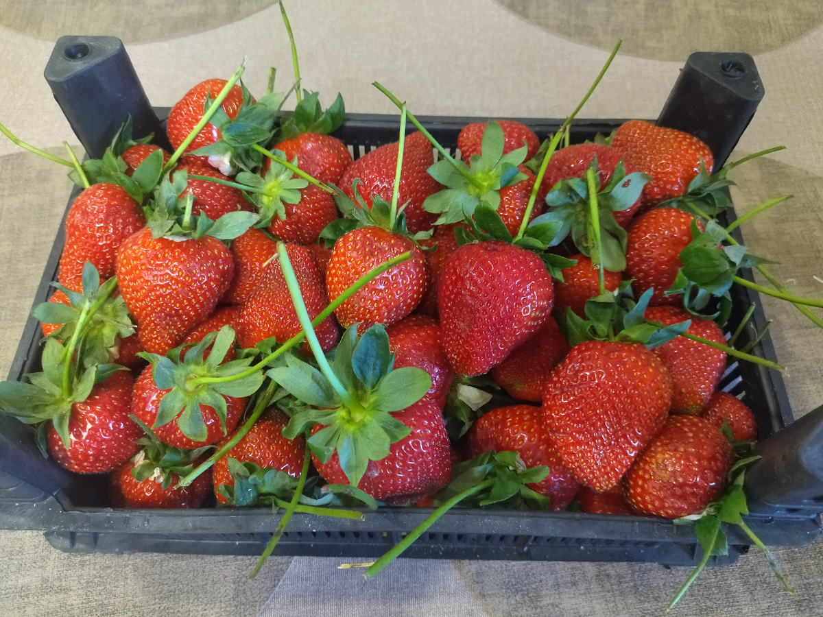 Фото автора. 