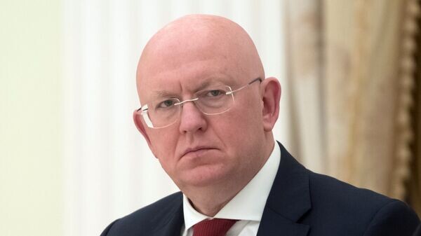    © Sputnik / Сергей Гунеев