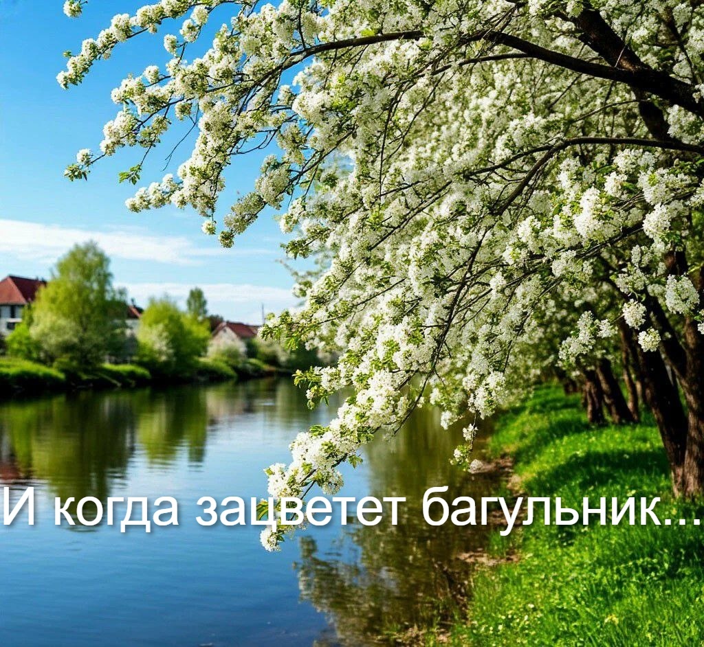 Изображение сгенерировано нейросетью Шедеврум.